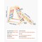 4-in-1 Wooden Indoor Jungle Gym for Kids with Slide, Climbing Rock, Ladder & Gym Rings
